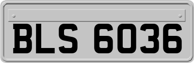 BLS6036