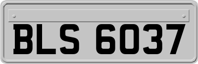 BLS6037
