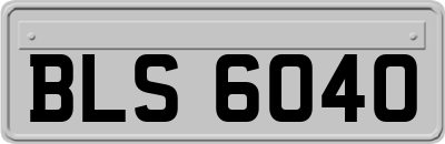BLS6040
