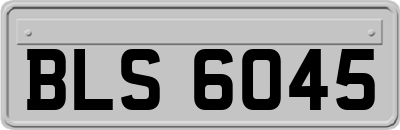 BLS6045