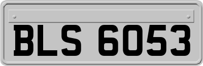 BLS6053
