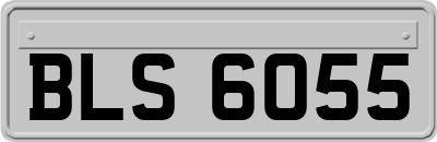 BLS6055