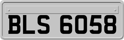 BLS6058