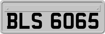 BLS6065