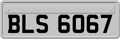 BLS6067