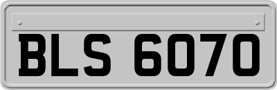 BLS6070