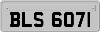 BLS6071