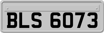 BLS6073