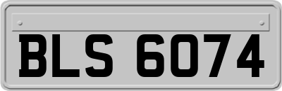 BLS6074