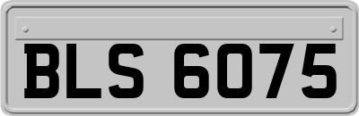 BLS6075