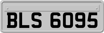 BLS6095