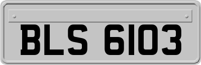 BLS6103