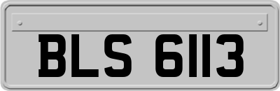 BLS6113