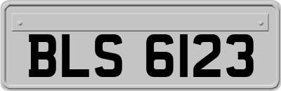 BLS6123