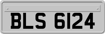 BLS6124