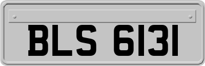 BLS6131