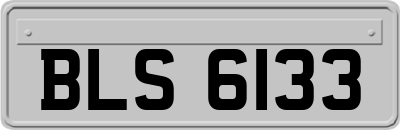 BLS6133