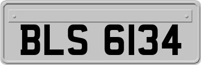 BLS6134