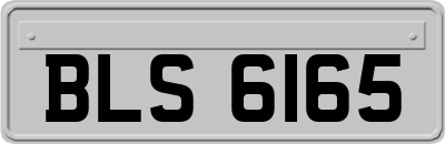 BLS6165