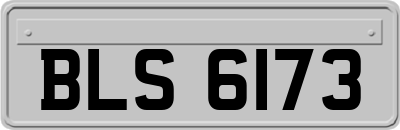BLS6173