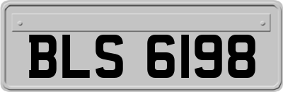 BLS6198