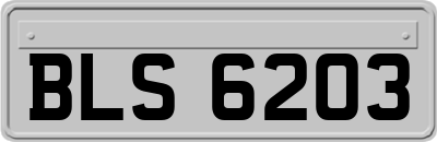 BLS6203