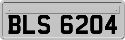 BLS6204
