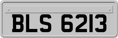 BLS6213