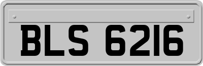 BLS6216