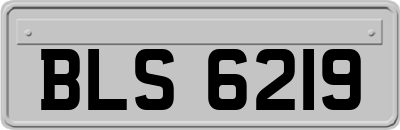 BLS6219