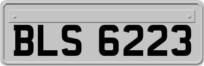 BLS6223