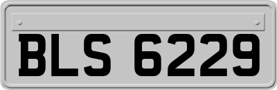 BLS6229