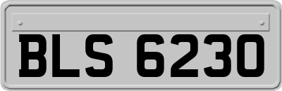 BLS6230