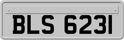 BLS6231