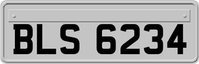 BLS6234