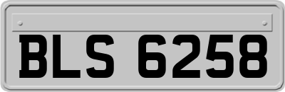 BLS6258