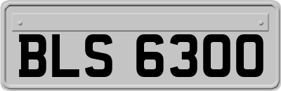 BLS6300