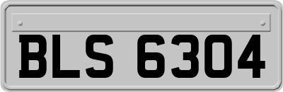 BLS6304