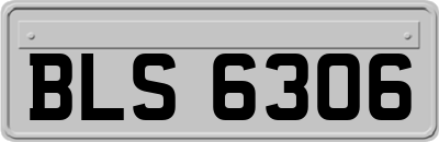BLS6306