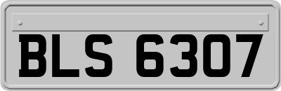 BLS6307
