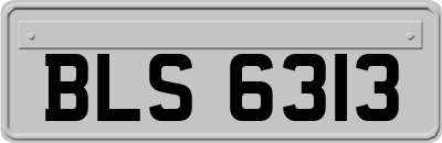 BLS6313