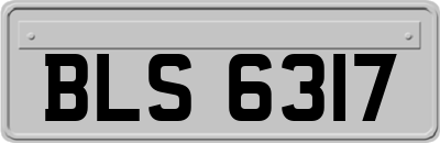BLS6317