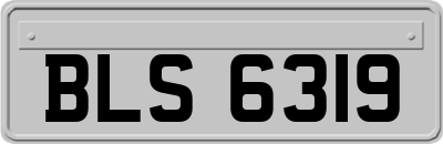 BLS6319
