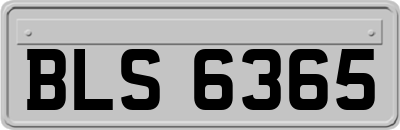 BLS6365