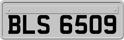 BLS6509