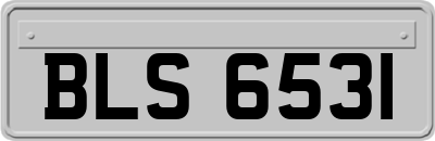 BLS6531