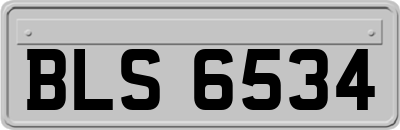 BLS6534