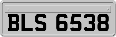 BLS6538