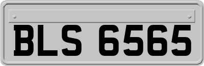 BLS6565