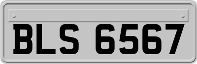 BLS6567
